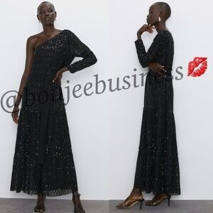 ZARA BNWT Asymmetric One-Shoulder Sequin Dress